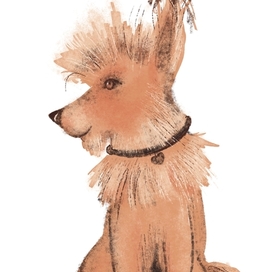 Персиковая собачка