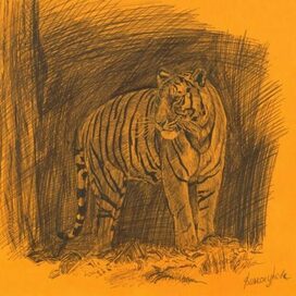 Притаившийся тигр