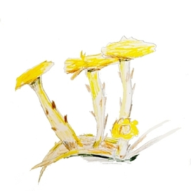 Мать - и - мачеха