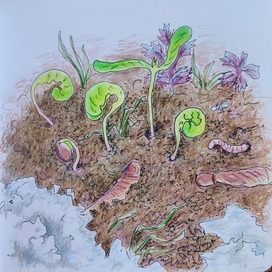 Весна. Ростки 