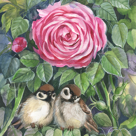 Воробушки под розой