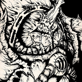 Тиф (Typhus) чб