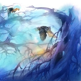 Ночь застала наших бременских музыкантов в лесу…