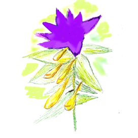 Иван -  да - Марья