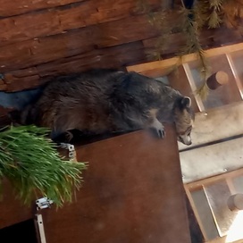 Как посмотреть