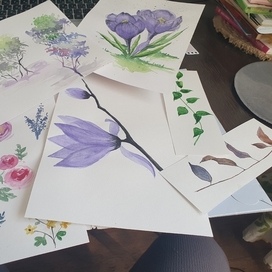 Скетчи Природа Цветы Листья