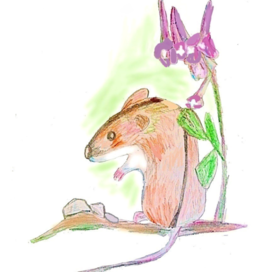 мышонок в поле