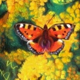 Крапивница