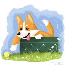 Первый мяч корги