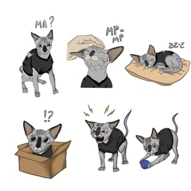Stickers cat skif