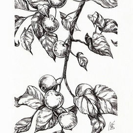 Яблочный триптих, лист2