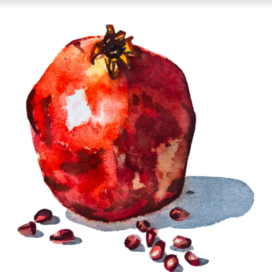 Гранат акварелью