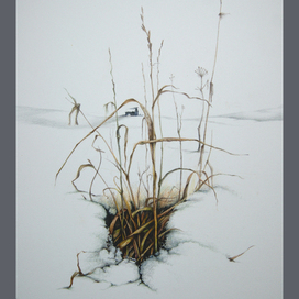 Мартовский снег