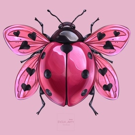 Божья коровка 