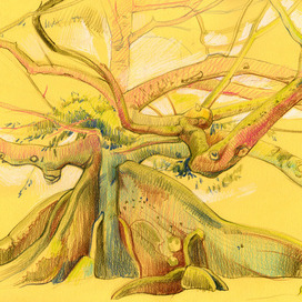 Весенние дерево