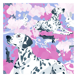 VECTOR SILK SCARF DESIGN