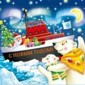 Новогодняя упаковка "Арктическая"