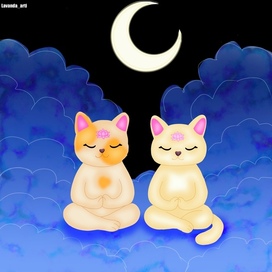 Медитирующие котики