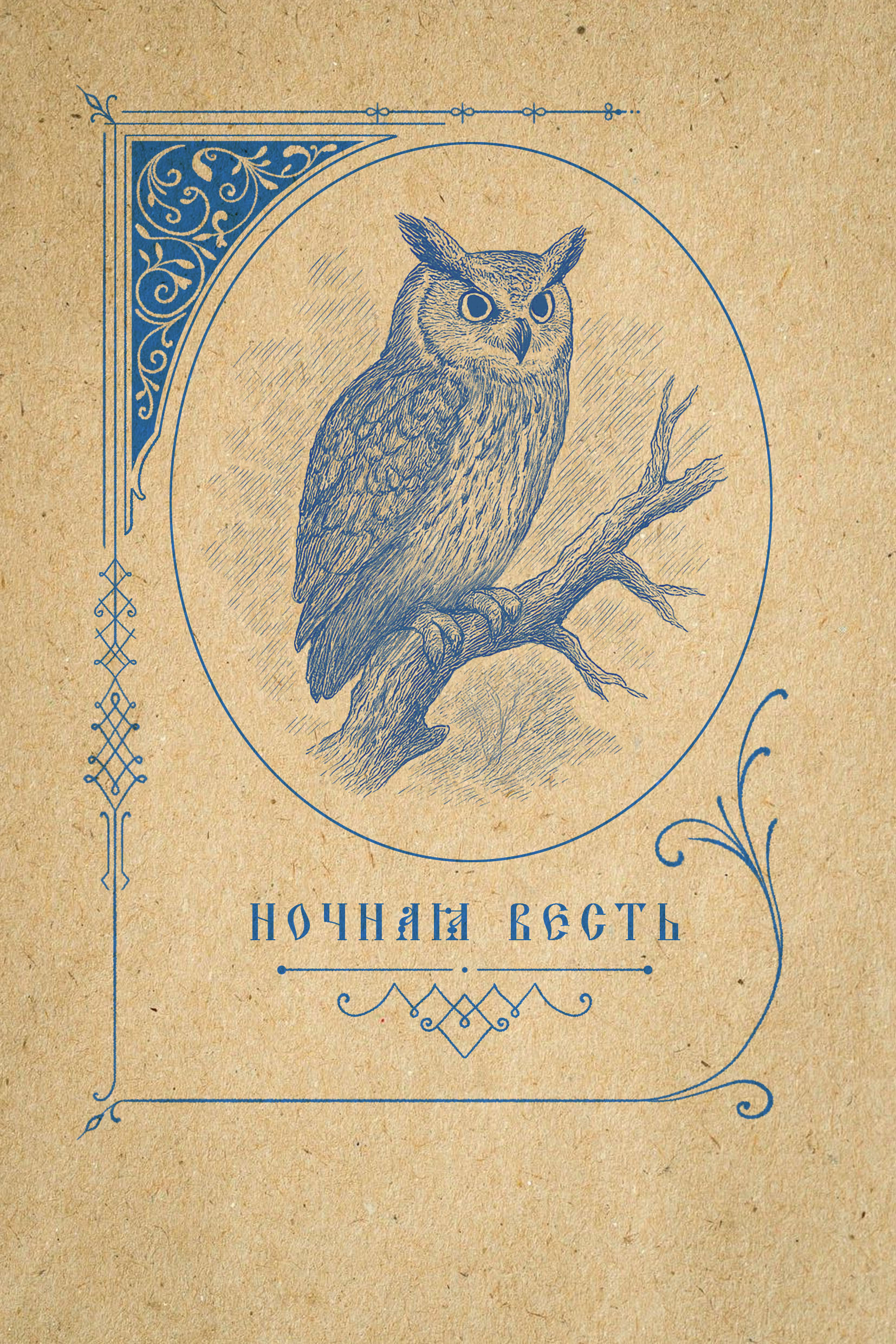 Ночная Весть