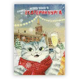 Привет из новогоднего еКОТеринбурга