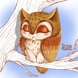 Котик-сова. Котометамарфозы