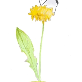 Мне поля одуванчиков милы... 