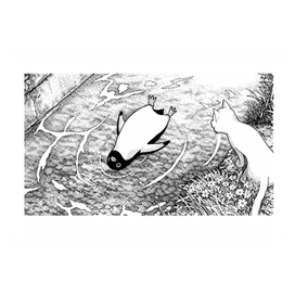 Тайная жизнь пингвинов!