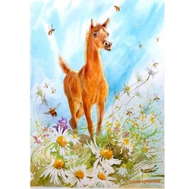 «Жеребенок» Юрий Коваль, АСТ, 2025