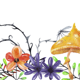 Комар (фантастичная ботаника)