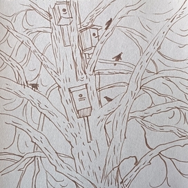 Скворцы прилетели 