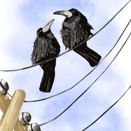 Весна на проводе