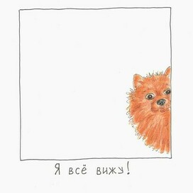 Я всё вижу🥸