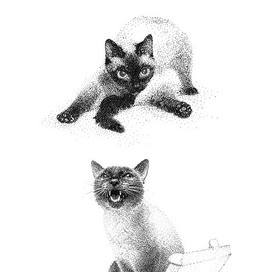 Сиамская Клеопатра!