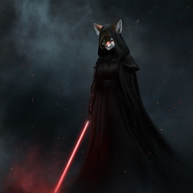 Заказ. Фанарт по звездным войнам