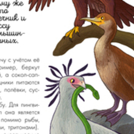 Иллюстрация к книге "Птицы. Биология. Физиология"