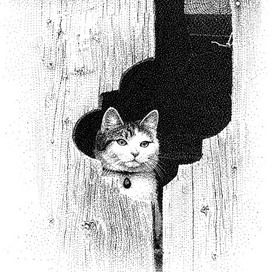 Хозяина ждёт с рыбалки.