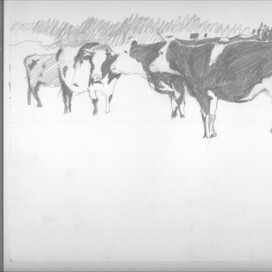 Деревенская серия