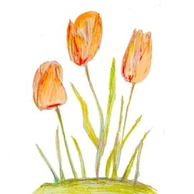 Этот день в начале лета... Полон он тюльпанов алых