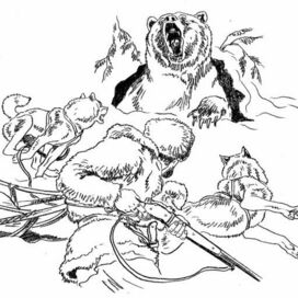 Юкон. Гризли потревожили