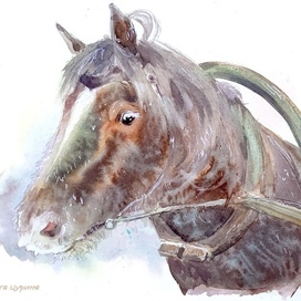 «Иней» Юрий Коваль, АСТ, 2025