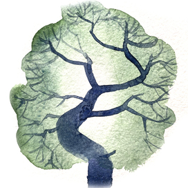 Серия "Мои фантастические деревья"