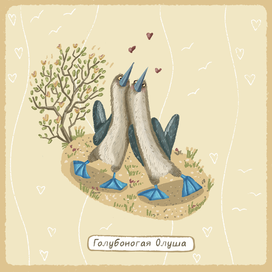 Голубоногая Олуша 