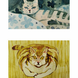 толстый кот Боба