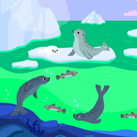 Обитатели северных морей