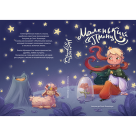 Обложка для книги о Маленьком Принце