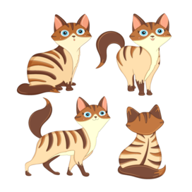 Кошка Поля бренд-персонаж для интернет-зоомагазина MAGIZOO