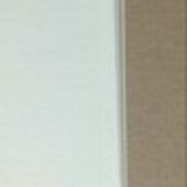 Знаменосец XII Легиона