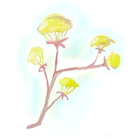 Прелестный клён цветёт когда теплеют дни...