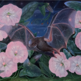 Bat and Morning Glory