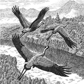 Прямо через Алтай птицы летят в Китай...